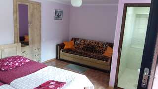Гостевой дом Guest House Panda Кутаиси Большой двухместный номер с 1 кроватью-5