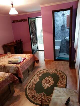 Гостевой дом Guest House Panda Кутаиси Двухместный номер с 1 кроватью, вид на сад-11