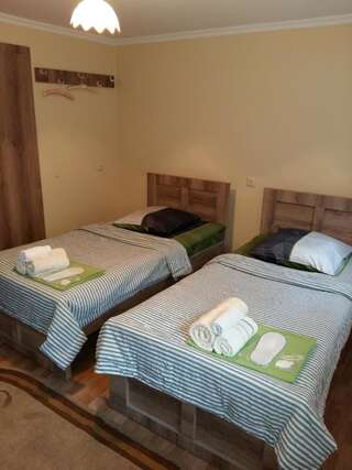 Гостевой дом Guest House Panda Кутаиси Двухместный номер с 1 кроватью-11