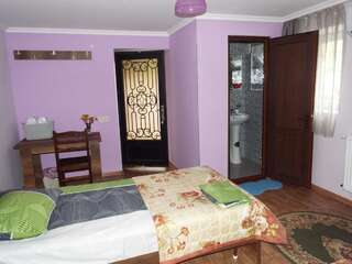 Гостевой дом Guest House Panda Кутаиси Двухместный номер с 1 кроватью, вид на сад-2